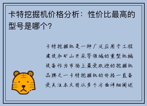 卡特挖掘机价格分析：性价比最高的型号是哪个？