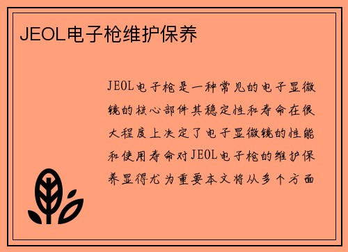 JEOL电子枪维护保养